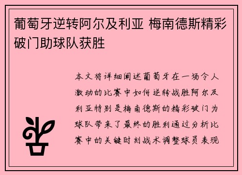 葡萄牙逆转阿尔及利亚 梅南德斯精彩破门助球队获胜